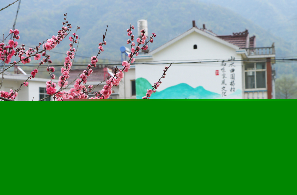 美翻了我的村第84期 | 安徽省池州市貴池區(qū)元四村：古村風(fēng)韻 純樸民風(fēng)