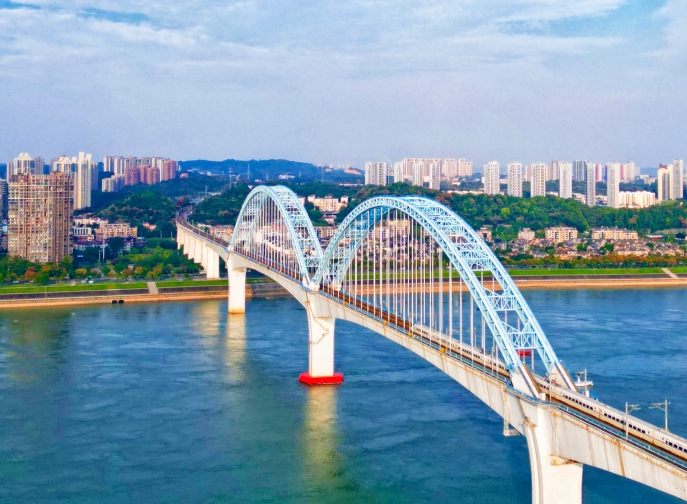 向光而行，花開滿途